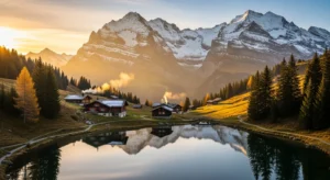 Swissvibe 1291
