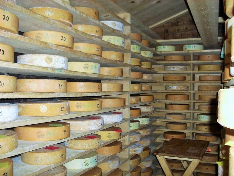 Swiss farmers sharing alpage cheese wheels at the Chästeilet ceremony in the Justistal valley