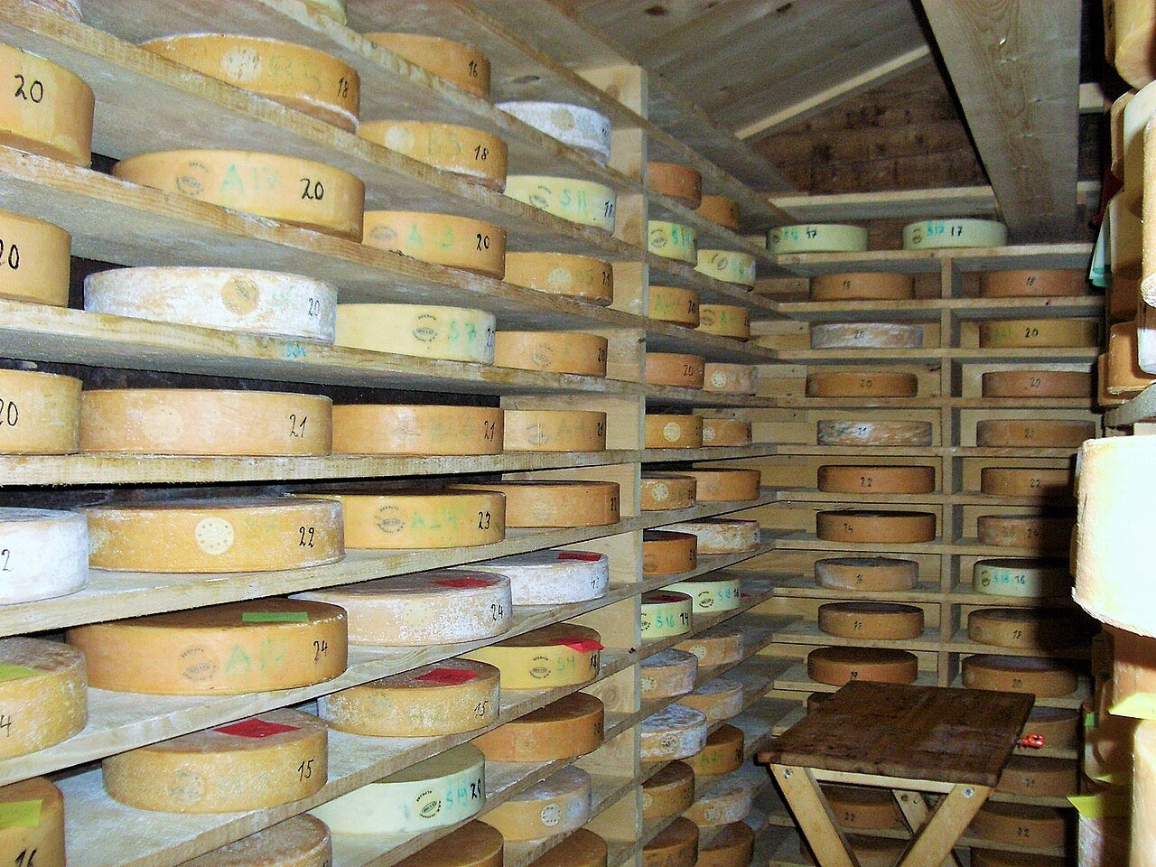 Swiss farmers sharing alpage cheese wheels at the Chästeilet ceremony in the Justistal valley